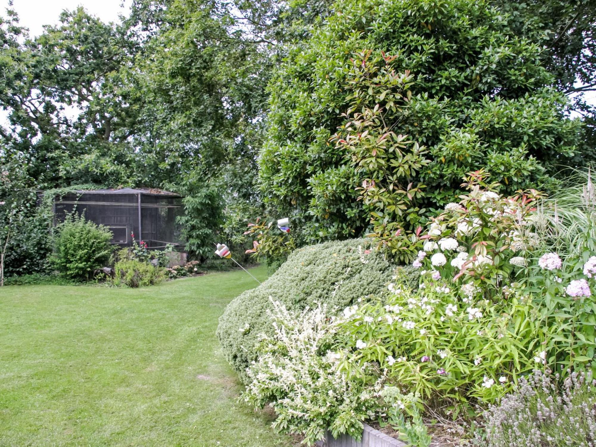 Ster By Interhome * Wissenkerke